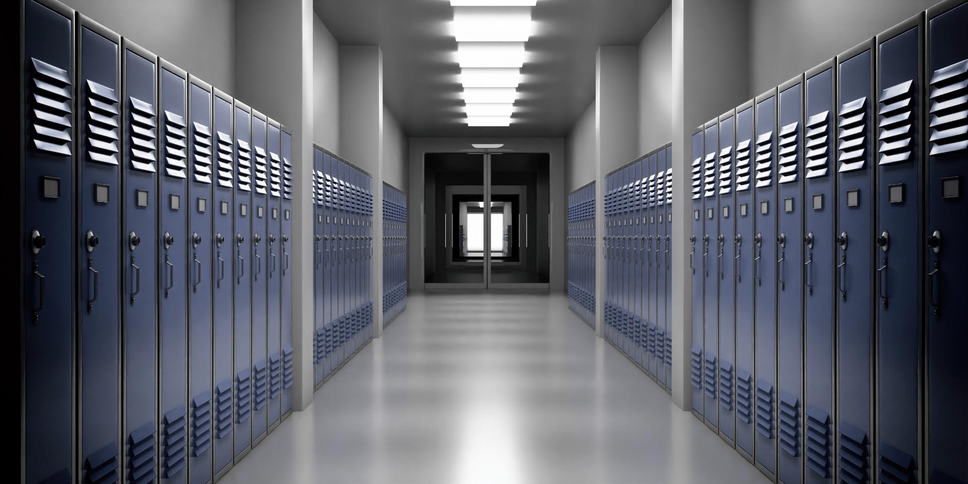 Independent educational evaluation
